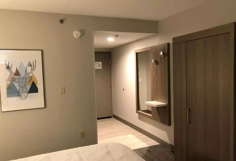 バスタブ付きスタンダードルーム, Holiday Inn Express & Suites Donegal, An Ihg