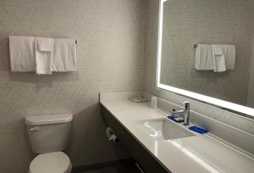 标准间带漩涡浴缸, Holiday Inn Express & Suites Donegal, An Ihg