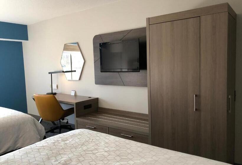 标准间, Holiday Inn Express & Suites Donegal, An Ihg