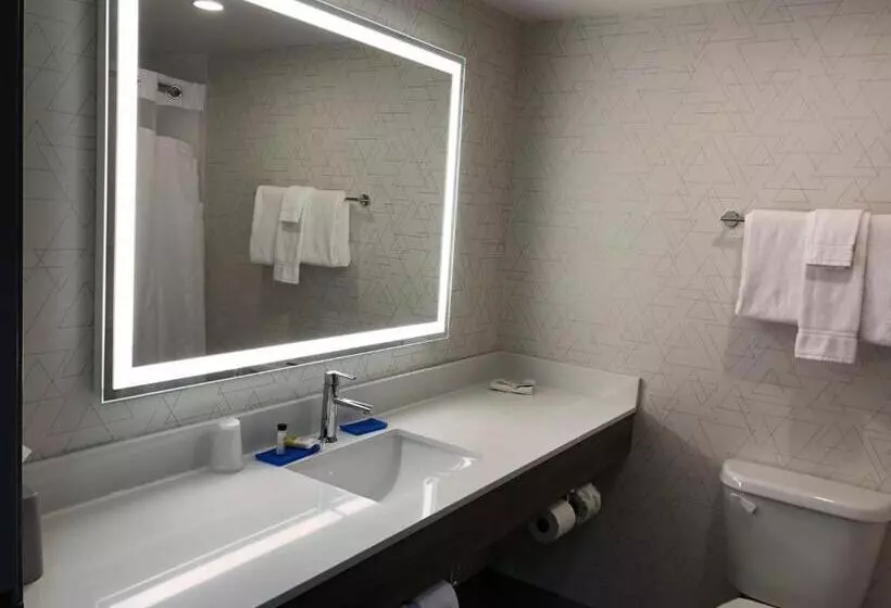 エクゼクティブスイート, Holiday Inn Express & Suites Donegal, An Ihg
