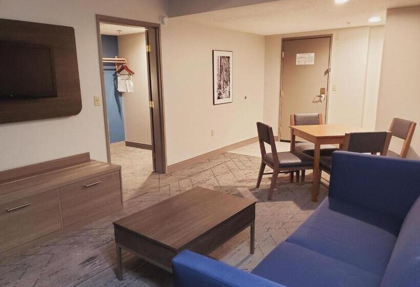行政套房, Holiday Inn Express & Suites Donegal, An Ihg