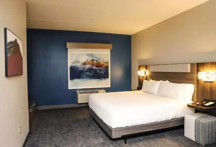 キングサイズベッドのエクゼクティブ, Holiday Inn Express & Suites Donegal, An Ihg