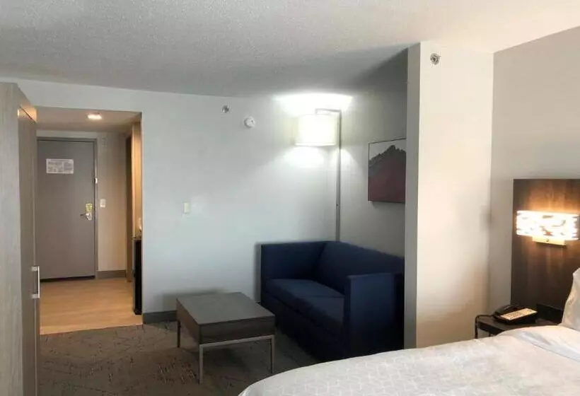 キングサイズベッドのエクゼクティブ, Holiday Inn Express & Suites Donegal, An Ihg