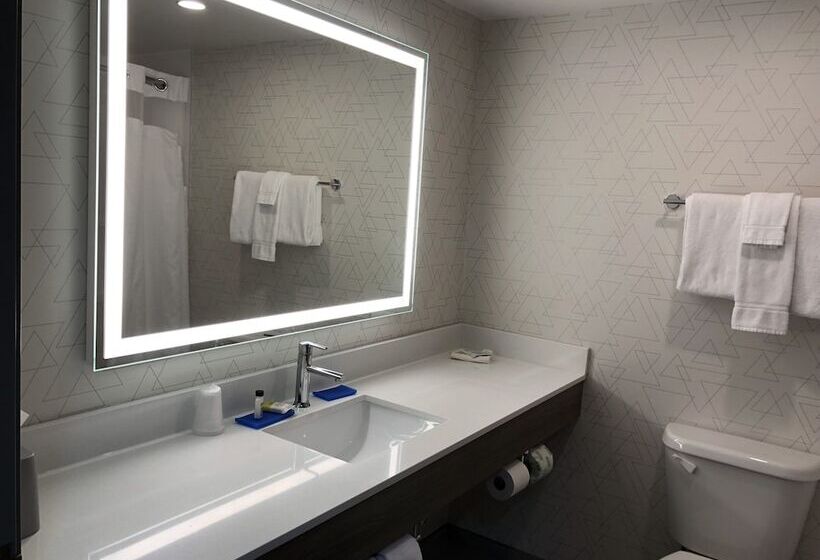 Люкс, Holiday Inn Express & Suites Donegal, An Ihg