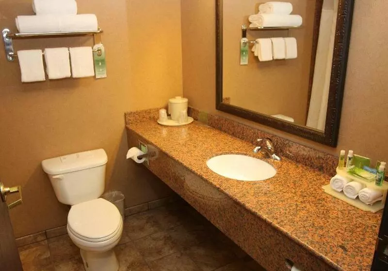 キングサイズベッドのスタンダードルーム, Holiday Inn Express & Suites Donegal, An Ihg