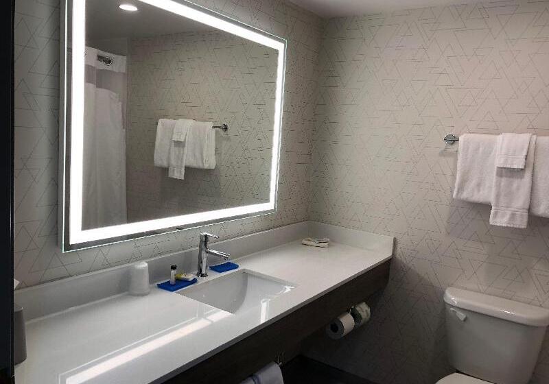 Стандартный Номер Кровать Кинг, Holiday Inn Express & Suites Donegal, An Ihg