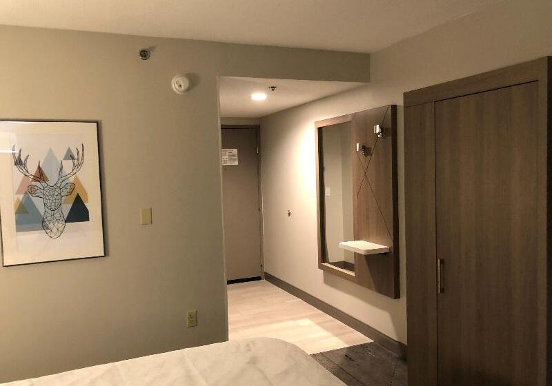 Стандартный Номер Кровать Кинг, Holiday Inn Express & Suites Donegal, An Ihg