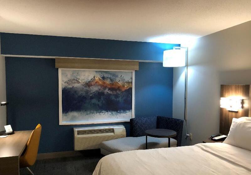 Стандартный Номер Кровать Кинг, Holiday Inn Express & Suites Donegal, An Ihg