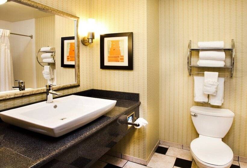 스탠다드 룸, Holiday Inn Express Tulsa South Bixby, An Ihg