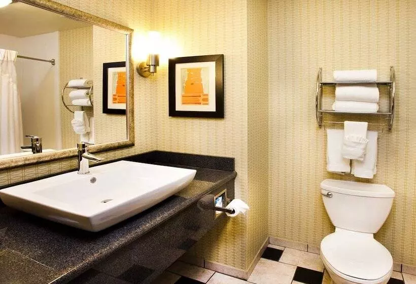 スタンダードルーム, Holiday Inn Express Tulsa South Bixby, An Ihg