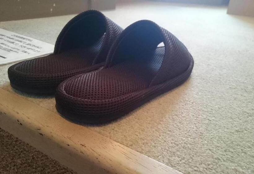 غرفة قياسية, Okayama View