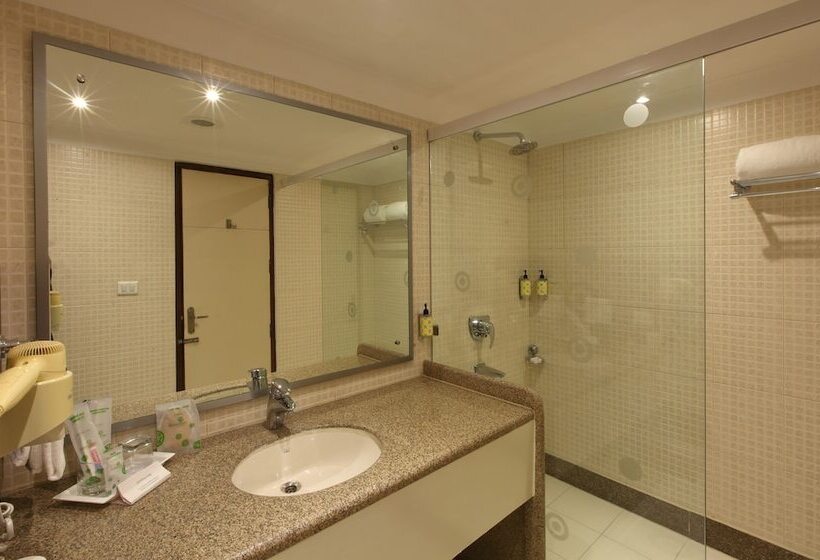 이그제큐티브 스위트, Lemon Tree Hotel Baddi