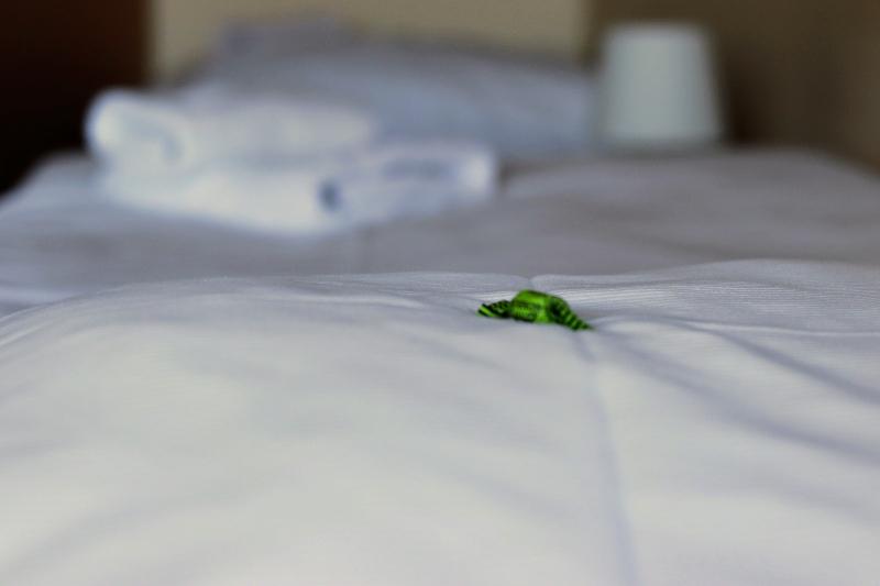 סוויטה, Holiday Inn Express Hotel & Suites Kerrville By Ihg