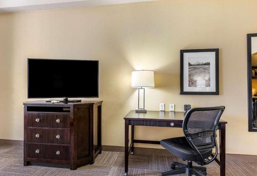 带大床的套房, Comfort Suites Frisco