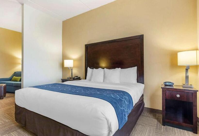 جناح سرير كينج, Comfort Suites Frisco