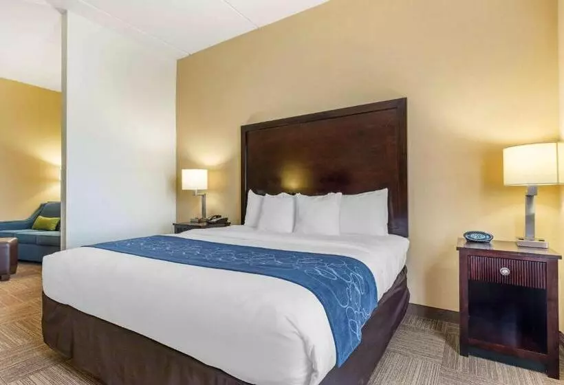 Sviitti King-vuode, Comfort Suites Frisco