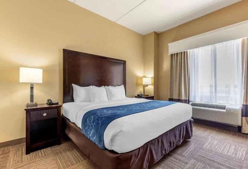 带大床的套房, Comfort Suites Frisco