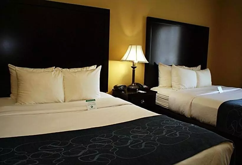 Sviitti, Comfort Suites Frisco