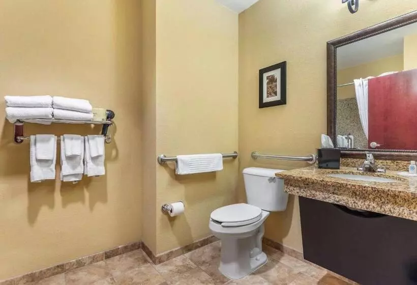 Sviitti Liikuntarajoitteisille, Comfort Suites Frisco