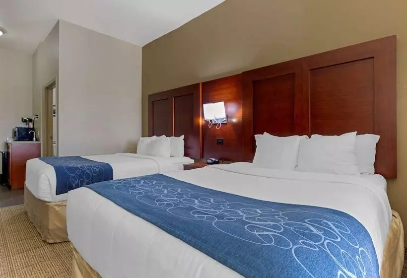 Sviitti, Comfort Suites Gainesville