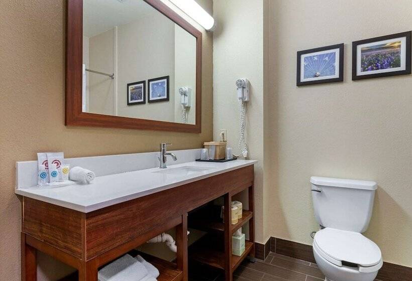 Люкс, Comfort Suites Gainesville