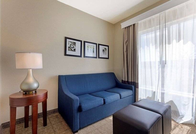 スイート, Comfort Suites Gainesville