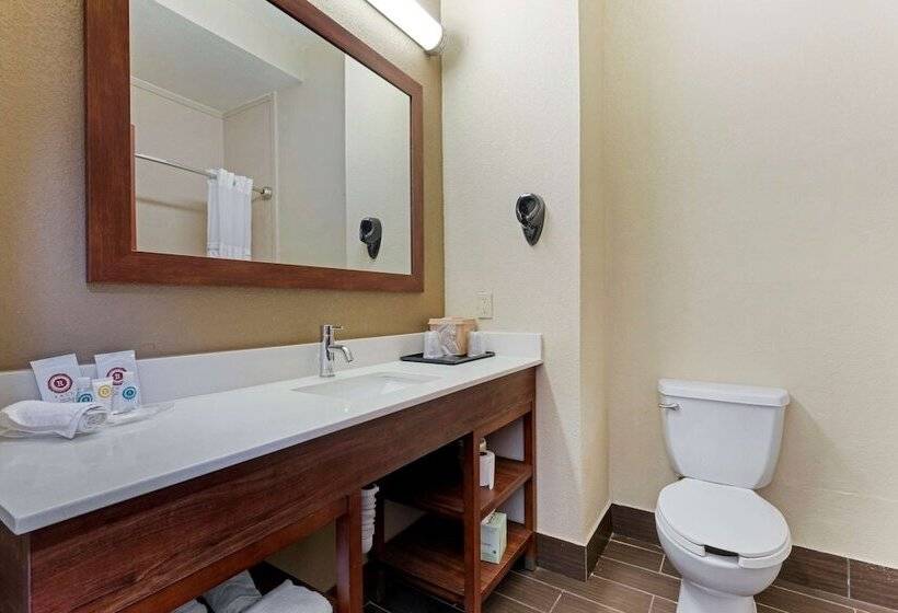 Люкс, Comfort Suites Gainesville