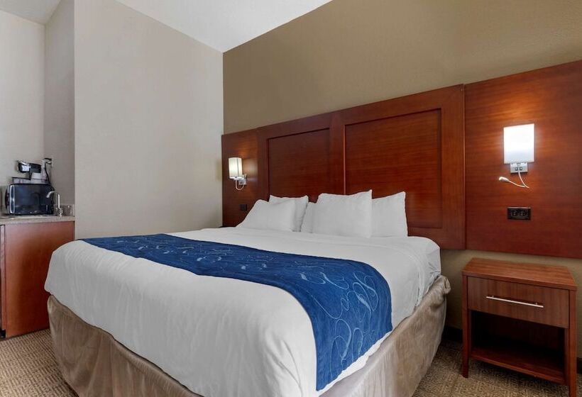 スイート, Comfort Suites Gainesville