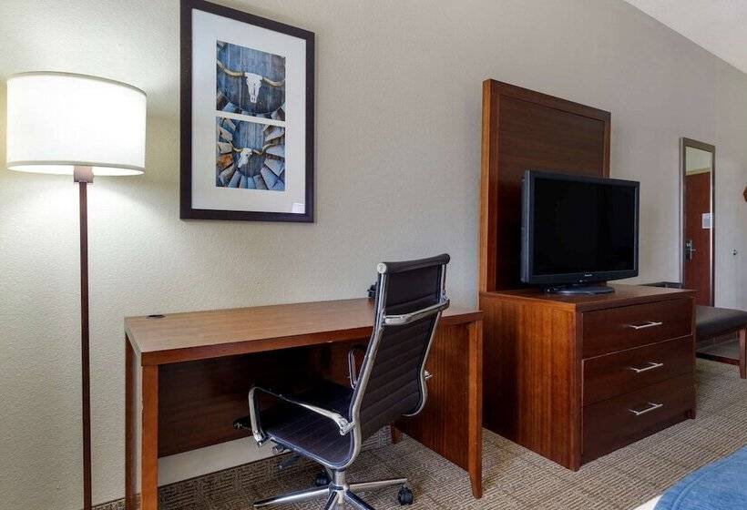 Люкс, Comfort Suites Gainesville