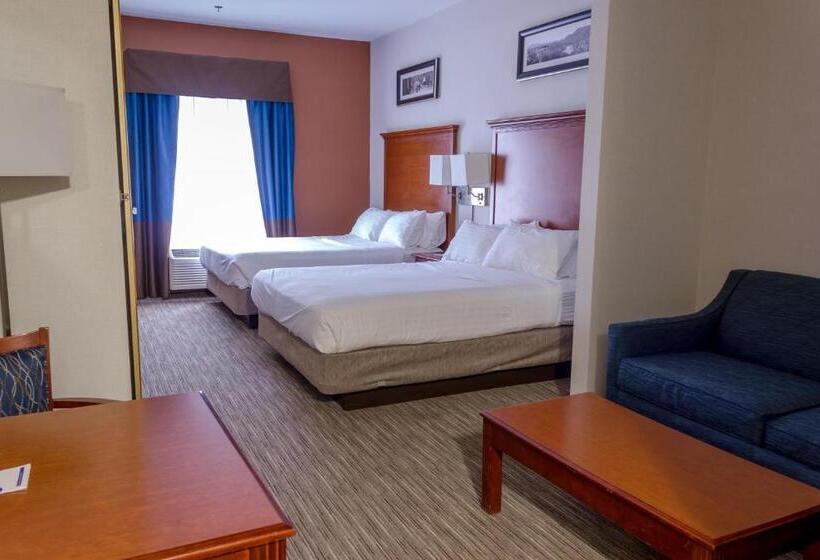 جناح لذوى الاحتياجات الخاصة, Holiday Inn Express Hotel & Suites Brattleboro, An Ihg