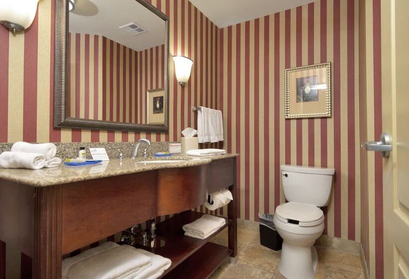 Номер Стандарт, Holiday Inn Express Hotel & Suites Dfw West   Hurst, An Ihg