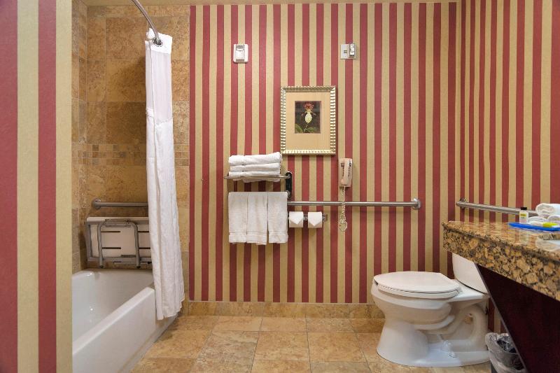 장애인을 위한 킹사이즈 침대 스탠다드 룸, Holiday Inn Express Hotel & Suites Dfw West   Hurst, An Ihg