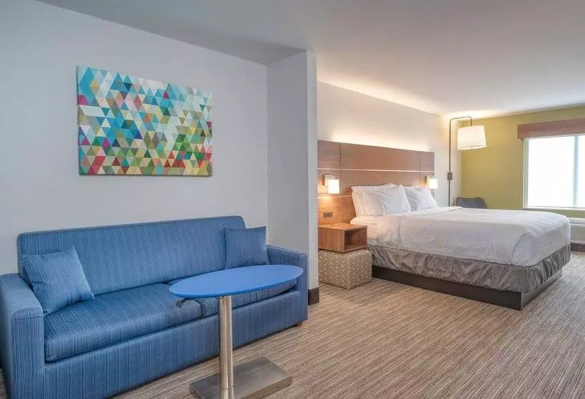 スイート, Holiday Inn Express Hotel & Suites Thornburg S. Fredericksburg, An Ihg