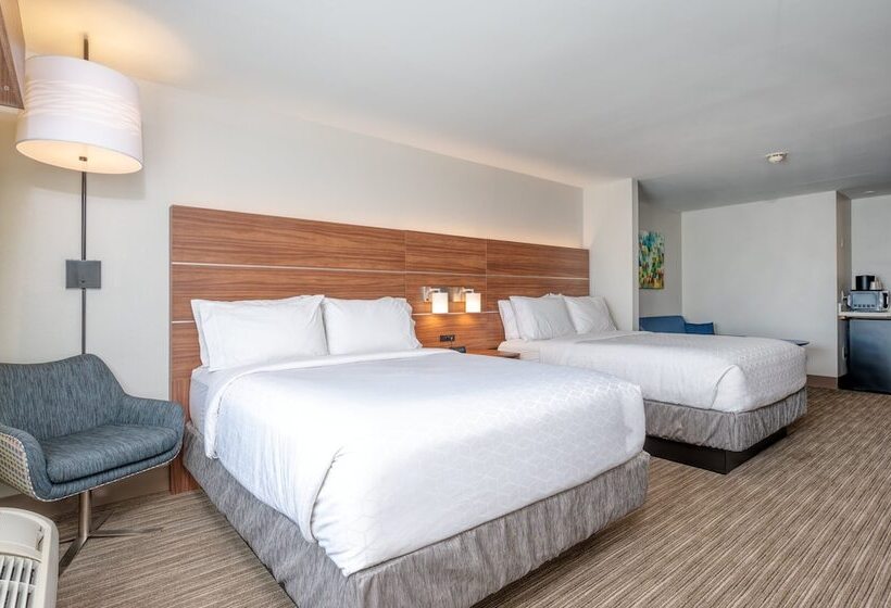 جناح, Holiday Inn Express Hotel & Suites Thornburg S. Fredericksburg, An Ihg