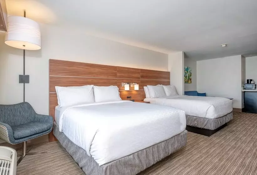 スイート, Holiday Inn Express Hotel & Suites Thornburg S. Fredericksburg, An Ihg
