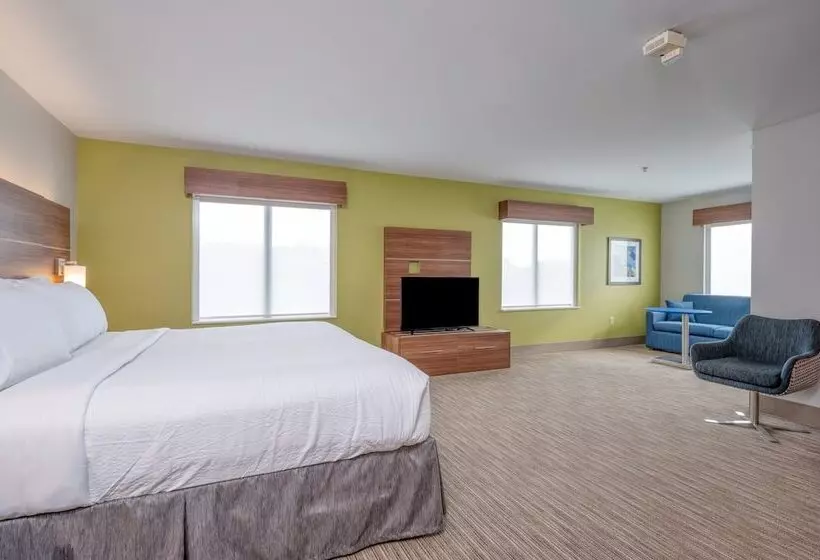身障者適用スイートルーム, Holiday Inn Express Hotel & Suites Thornburg S. Fredericksburg, An Ihg