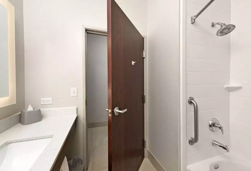 スタンダードルーム, Holiday Inn Express Hotel And Suites Conroe, An Ihg
