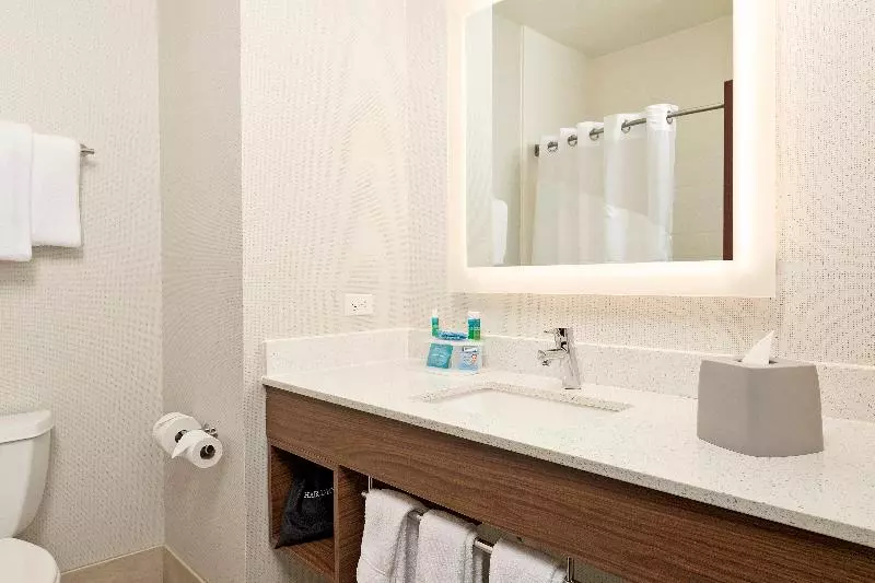 キングサイズベッドのスタンダードルーム, Holiday Inn Express Hotel And Suites Conroe, An Ihg