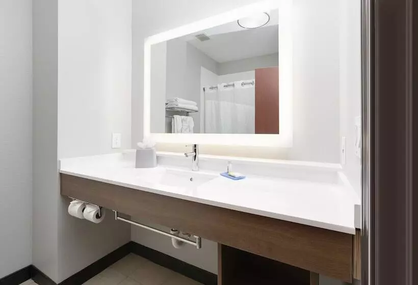 スイート, Holiday Inn Express & Suites   Denton North, An Ihg