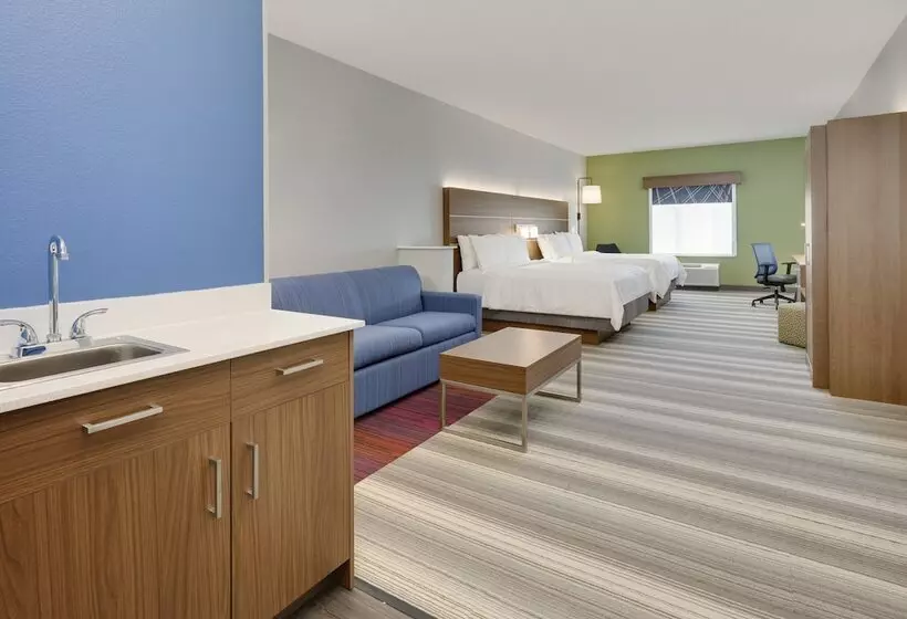 スイート, Holiday Inn Express & Suites   Denton North, An Ihg