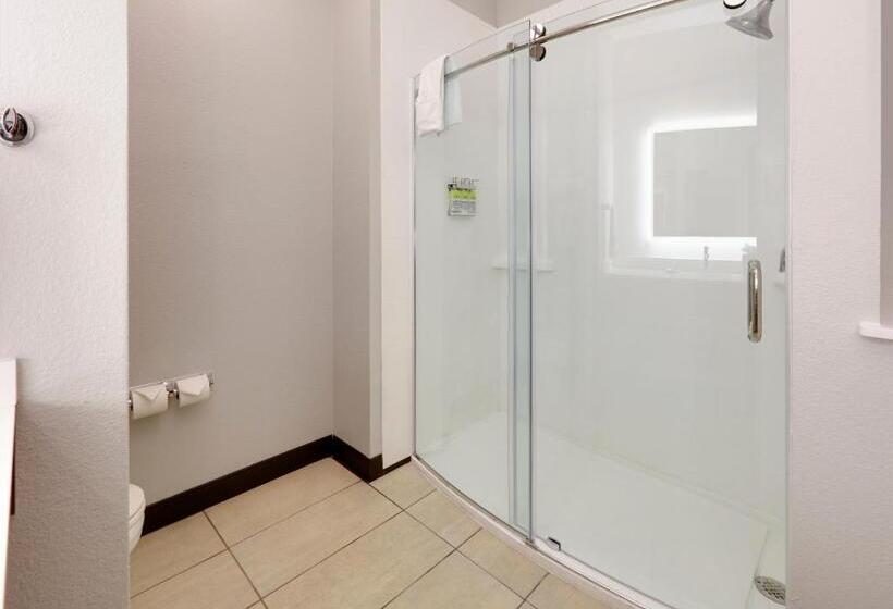 스탠다드 룸 킹사이즈 침대, Holiday Inn Express & Suites   Denton North, An Ihg