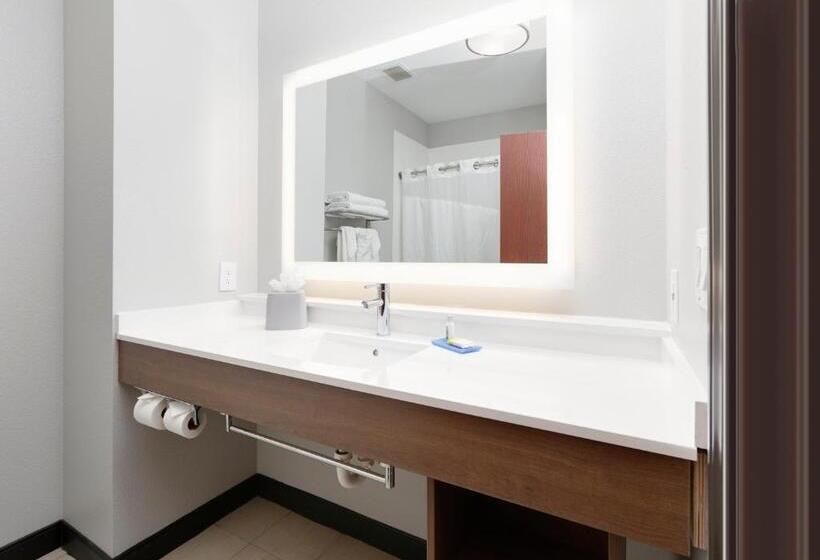 Люкс Кровать Кинг, Holiday Inn Express & Suites   Denton North, An Ihg