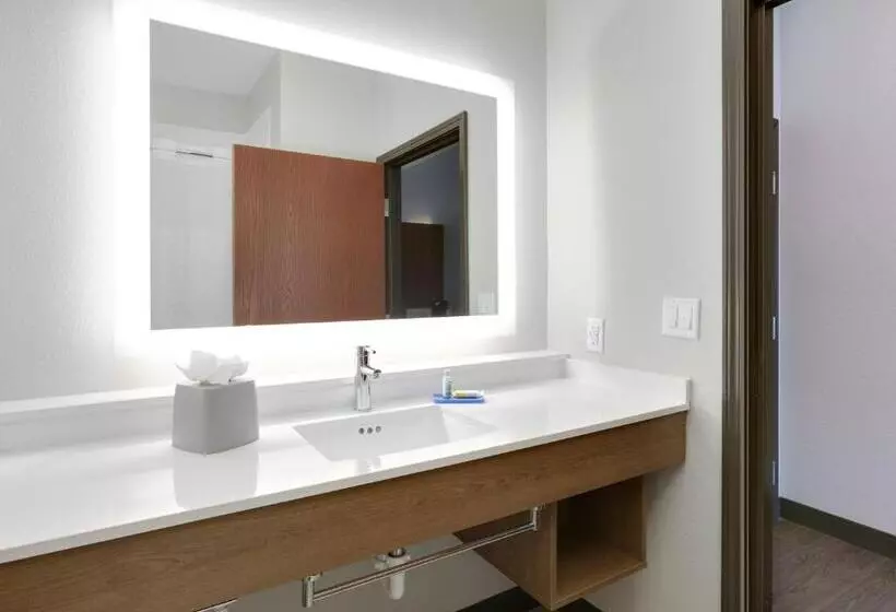 身障者適用キングサイズベッドルーム, Holiday Inn Express & Suites   Denton North, An Ihg