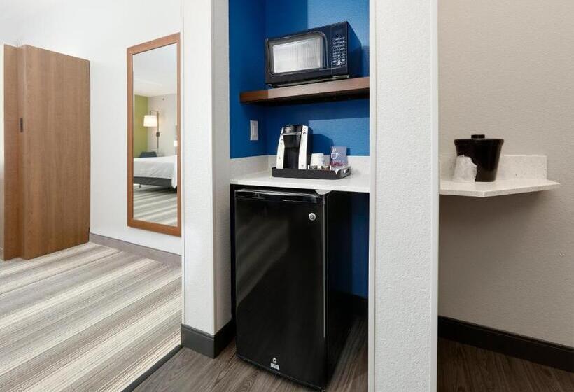 디럭스 스위트, Holiday Inn Express & Suites   Denton North, An Ihg