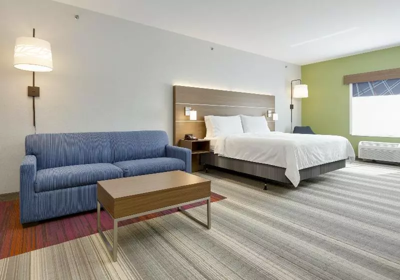 キングサイズベッドのスイートルーム, Holiday Inn Express & Suites   Denton North, An Ihg