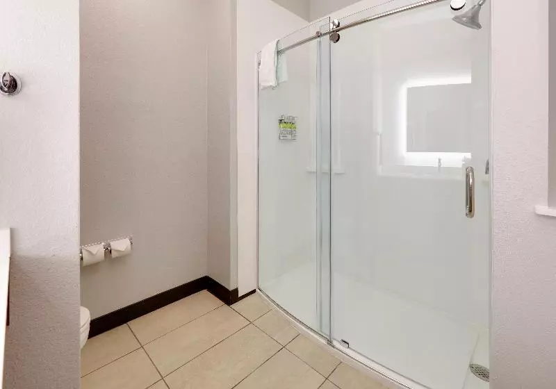 キングサイズベッドのスイートルーム, Holiday Inn Express & Suites   Denton North, An Ihg