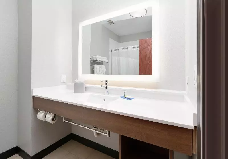 キングサイズベッドのスタンダードルーム, Holiday Inn Express & Suites   Denton North, An Ihg