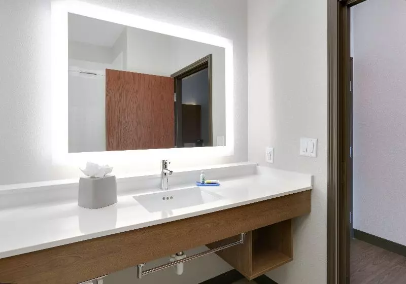 キングサイズベッドのスタンダードルーム, Holiday Inn Express & Suites   Denton North, An Ihg