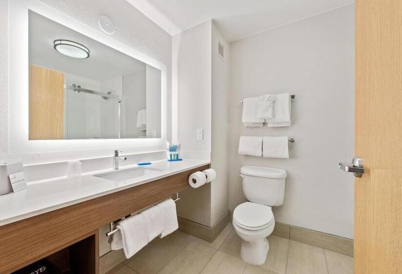 جناح سرير كينج, Holiday Inn Express West Valley City, An Ihg