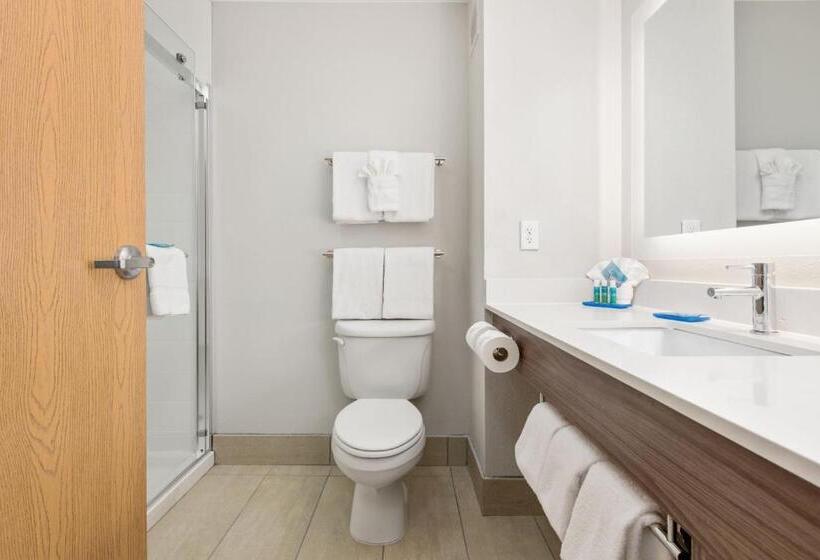 스탠다드 룸 킹사이즈 침대, Holiday Inn Express West Valley City, An Ihg